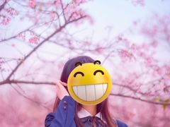 -天适樱花悠乐园