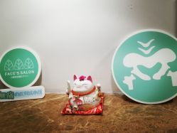 -FACE·日本小颜矫正美容整骨サロン