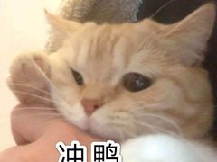 -沈阳和平艾美酒店新食谱西餐厅