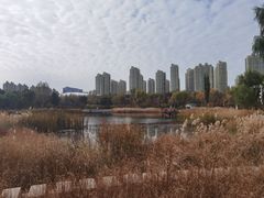 -群力丁香公园