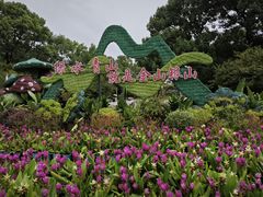 -南山植物园