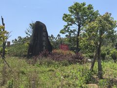 -九鲤湖风景区