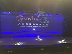 -cavalia·舞马