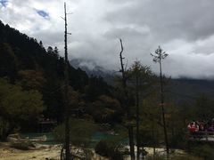 -黄龙山原始森林景区