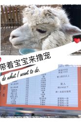 -萌宠亲子动物乐园(槐房万达店)