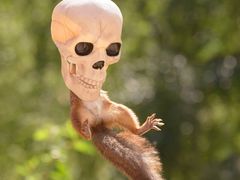 -About Bistro關於·泰式家庭料理