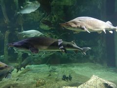 -华夏文旅海洋公园