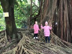 -华南国家植物园-售票处