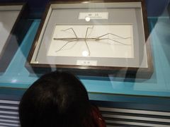 -上海昆虫博物馆