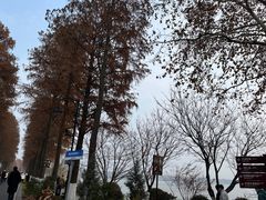 -东湖生态旅游风景区