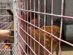 -金庭庄园酒店-停车场