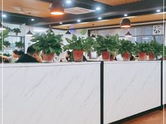 大堂-皖北巫氏三胖地锅鸡(正大店)