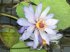 -国家植物园南园