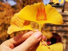 -北京石刻艺术博物馆(五塔寺)