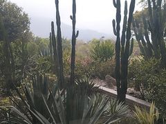 -福建鲤鱼洲酒店