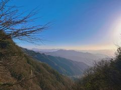 -王顺山国家森林公园