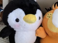 -可爱抓 COCO  GOTCHA(天津鹏欣水游城店)