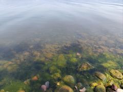 -西昌邛海湿地