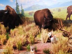 -陕西自然博物馆