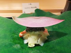 -炎橘·板前料理 Omakase