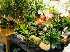 -鲜果壹号(旺墩店)