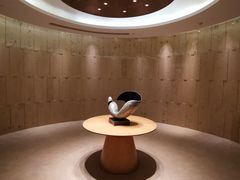 -南京禄口机场雅高铂尔曼大酒店