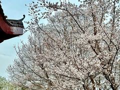 -堤角公园