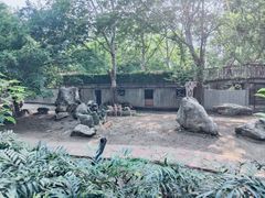 -成都动物园