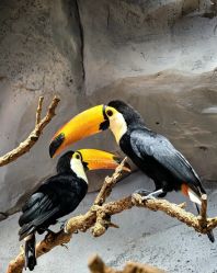 点击看大图 -Zoolung Zoolung动物主题公园(海信广场店)