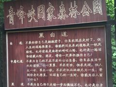 -青峰峡国家森林公园