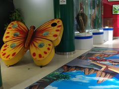 -上海昆虫博物馆