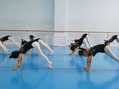 -西安小天鹅艺术团(曲江Alice店)