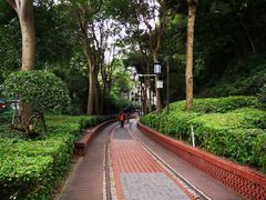 -铁路文化公园