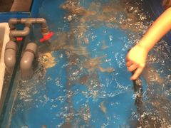 -星伦多海鲜自助餐厅(万达百货店)