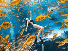 -三亚海昌梦幻海洋不夜城