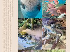 -上海海洋水族馆