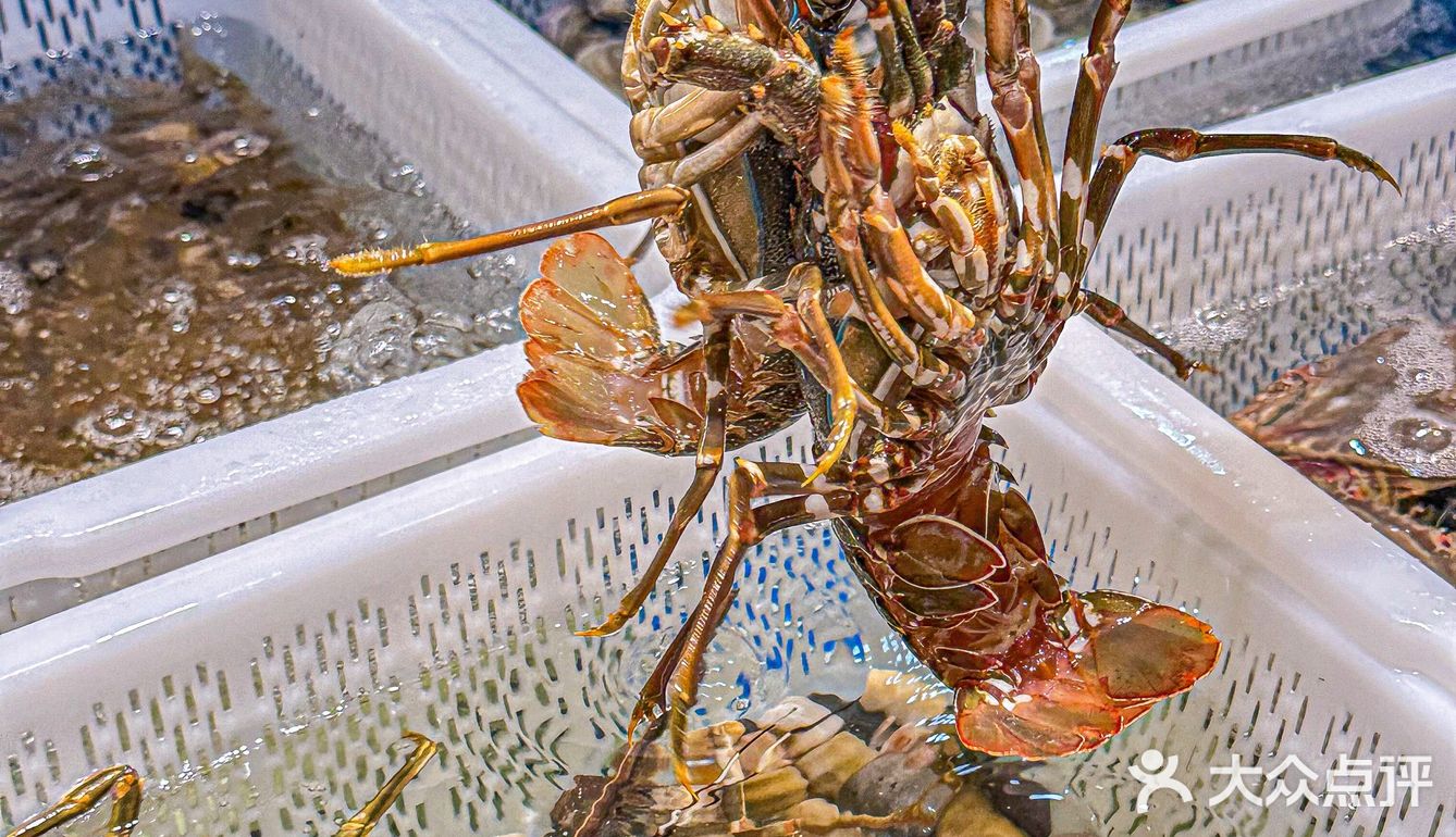 听说阪急开了一家性价比好高的海鲜面馆