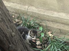 -狼山风景名胜区