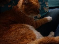 iphone_upload_pic-Sirena海妖日咖夜酒