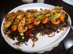 -外滩1288花园丽舍