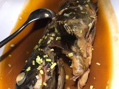 -新海渔港·胶东海鲜家常菜·家宴(奥体中心店)