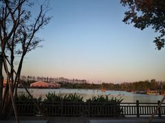 -上海长兴岛郊野公园