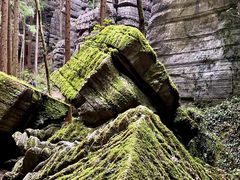 -梭布垭石林景区