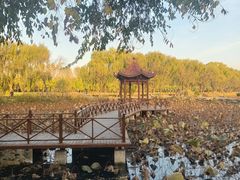 -稻香湖景欢乐岛温泉城堡