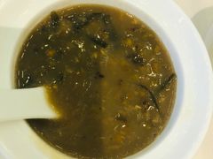 -美食小镇·观赏珍稀鸟类·长隆熊猫酒店