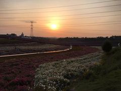 -紫颐香薰山谷景区