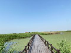 -宁波杭州湾国家湿地公园