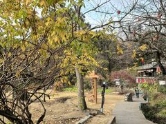 -塔川景区