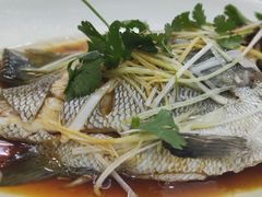 -望海潮海鲜店 特色家常菜(在海一方店)