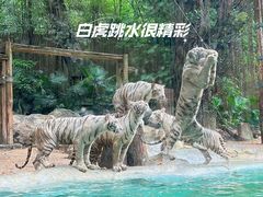 -广州长隆野生动物世界